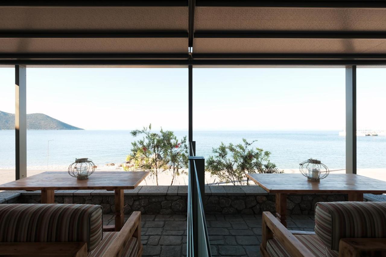 Apartment Ve